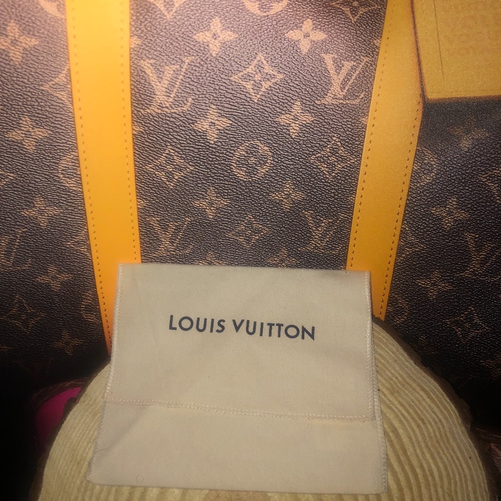 Louis Vuitton 7x5 Storage Flap Cover Dust Bag